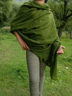 Pashmina Shawl in Olive Green