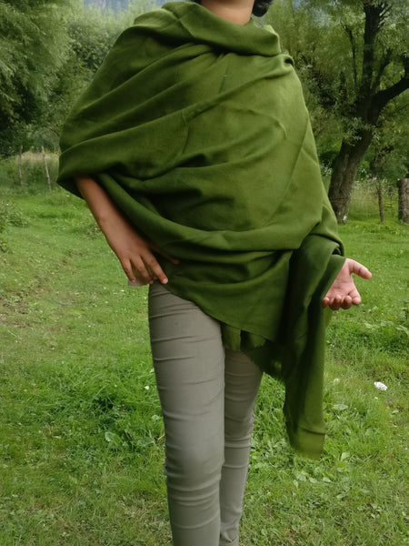 Pashmina Shawl in Olive Green