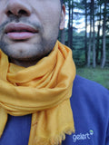 Silk wool scarf